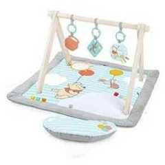 Bright Starts Disney WINNIE THE POOH Once Upon a Tummy Time Baby Activity