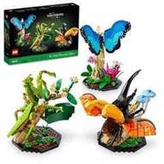 LEGO Ideas The Insect Collection, Fun Gift for Nature Lovers