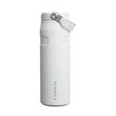 Stanley Stanley 1913 Flip Straw 2.0 Sports Water Bottle with Straw